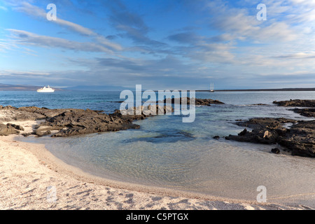 Am späten Nachmittag Licht am Punta Espinoza, Galapagos Stockfoto