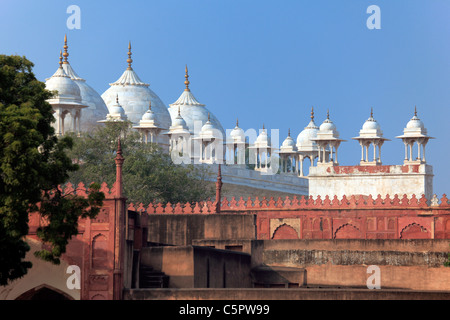 Moti Masjid (Perle Moschee), Roten Fort, Agra, Indien Stockfoto