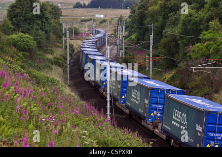 Blau Curtain-Sided Co2 Tesco intermodale Logistik & Zubehör durch den Schienenverkehr. Weniger CO2, Eddie Stobart Diesel langen Güterzug in Shap, Cumbria Stockfoto