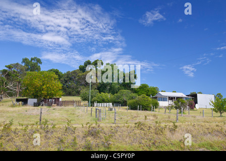 Margaret River Region ländlichen Hof, Western Australia Stockfoto