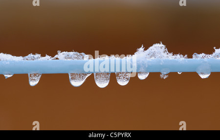 Schneekristalle auf Wäscheleine mit Wassertröpfchen bilden unten schmelzen. Stockfoto