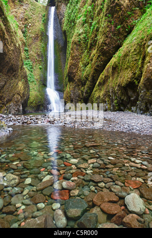 Lower Oneonta Falls Oregon USA Stockfoto