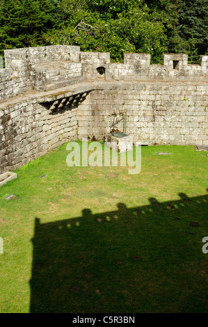 Mittelalterliche Burg von Soutomaior. Pontevedra, Galicien, Spanien Stockfoto
