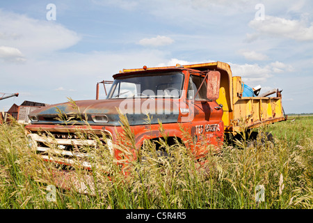 1960 Chevrolet Dump Truck. Iowa. Midwest Stockfoto