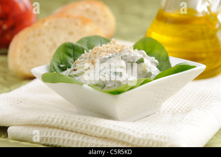 Salat von Joghurt und Gurken, genannt Sneshanka oder Milch Salat gemacht Stockfoto