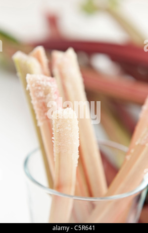 Frischen rohen Rhabarber sticks mit Zucker als Vorspeise Stockfoto