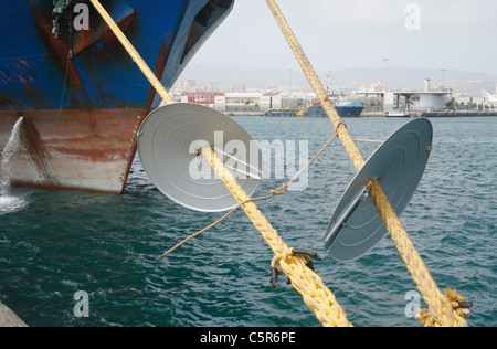 Ratte wachen auf Schiff festmachen Seile, Ratten an Bord immer zu verhindern Stockfoto