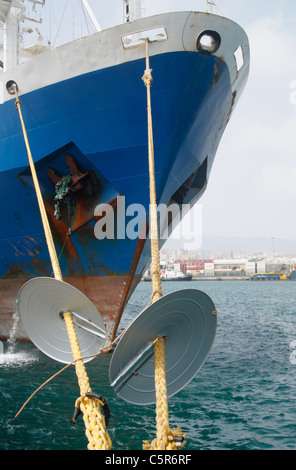 Ratte wachen auf Schiff festmachen Seile, Ratten an Bord immer zu verhindern Stockfoto