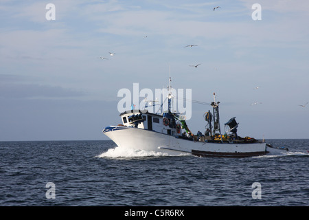 Ein wiederkehrender Fischerboot von Möwen begleitet Stockfoto