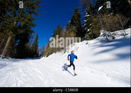 Ein Jogger läuft durch einen alpinen Wald. Stockfoto