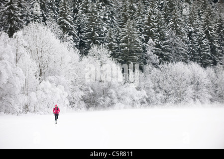 Ein Jogger läuft durch einen schönen Schnee bedeckt Wald. Stockfoto