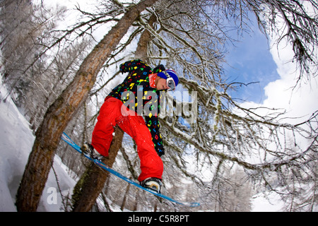 Reiten durch einen verschneiten Wald Snowboarder springt durch zwei Bäume. Stockfoto