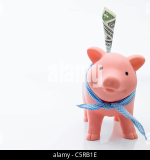 Sparschwein mit Papiergeld Stockfoto