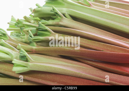 Nahaufnahme von Rhabarber vor weißem Hintergrund Stockfoto