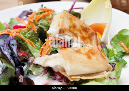 Nahaufnahme von Ziegenkäse überbacken mit gemischtem Salat Stockfoto