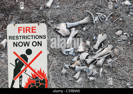 Ein Tier getötet durch ein Moor Feuer über Wainstalls in der Nähe von Halifax, UK. Stockfoto