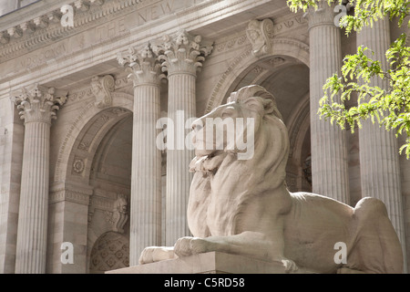 Löwe Statue, New York Public Library, Zweig, NYC Stockfoto