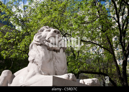 Löwe Statue, New York Public Library, Zweig, NYC Stockfoto