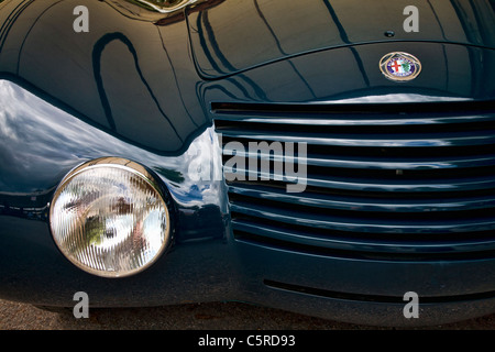 1935 Alfa Romeo 6 2300 Aerodinamica Spider Front grill und Flügel auf der 2011 Goodwood Festival of Speed, Sussex, England, U Stockfoto