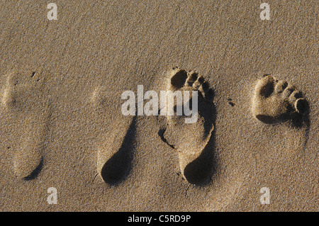 Fußspuren im Sand, erhöhte Ansicht Stockfoto