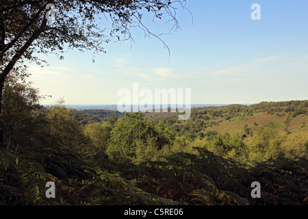 Blick über den Teufel Bowle, Hindhead Surrey England UK Stockfoto