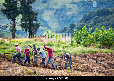 Bereich Arbeit, Kanton Las Pilas, San Ignacio, Chaltenango Abteilung, El Salvador Stockfoto