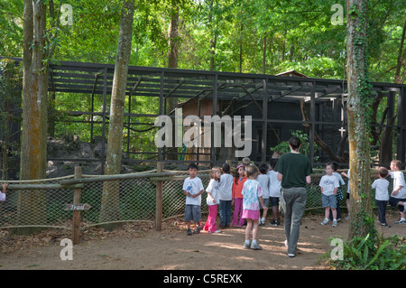 Santa Fe College Unterricht Zoo Gainesville Florida. Schülerinnen und Schüler besuchen den Zoo. Stockfoto