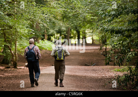 Zwei Wanderer in Thorndon Park in Essex. Stockfoto