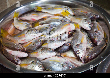 Frischer Fisch, Markt in Chaltenango, Chaltenango Abteilung, El Salvador Stockfoto