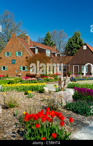 Niederländische Architektur mit Tulpe Frühlingsblumen auf Windmill Island, Holland, Michigan, USA. Stockfoto