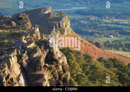 Die Hinterwellen, Staffordshire Moorlandschaften, Peak District, England UK Stockfoto