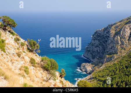 Blick auf die Platja des Coll Baix auf Alcudia Halbinsel, Mallorca, Spanien, Europa Stockfoto