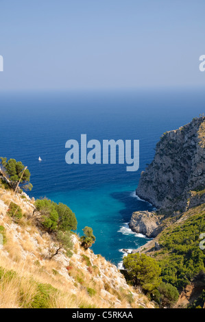 Blick auf die Platja des Coll Baix auf Alcudia Halbinsel, Mallorca, Spanien, Europa Stockfoto