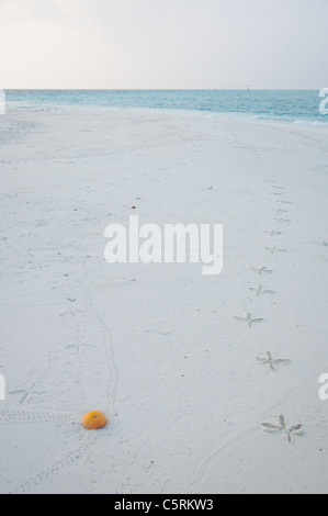 Orange und Storch Fussspuren am Strand, die Malediven Stockfoto