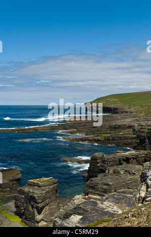 dh ROUSAY ORKNEY Rousay Nordküste Meeresklippen und Meeresstapel seacliff scotland Klippe Stockfoto