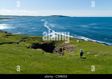 dh Scottish Coast Geo Wanderer ROUSAY ISLAND ORKNEY ISLES Rousay Tourist Blick auf seacliff schottland Menschen Küstenerosion Meer Stockfoto