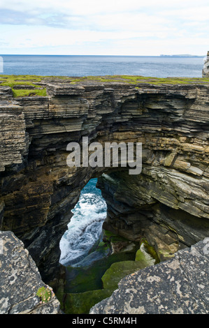 dh ROUSAY ORKNEY Rousay Nordküste Seeklippen Meeresbogen und Geo seacliff schottland Klippe Stockfoto