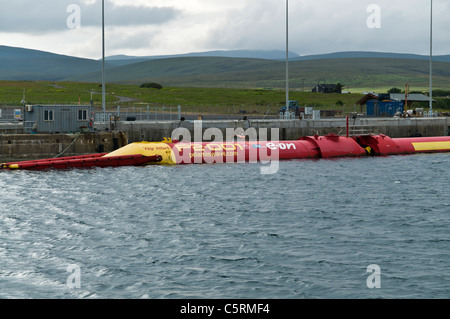 dh Pelamis Wave Energy Converter HOY LYNESS PIER ORKNEY SCHOTTLAND Generator Offshore-Wellenenergie schottische erneuerbare Energien Strom erneuerbare Marine großbritannien Stockfoto