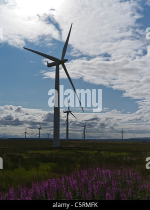 dh rwe Windpark CAUSEYMIRE CAITHNESS npower Renewables National Wind Power Group Bonus Windturbine Clouds uk scottish Windpark schottland Stockfoto