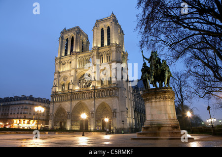 Kathedrale Notre-Dame in der Nacht Stockfoto