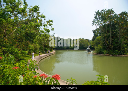 Singapore Botanic Gardens, Singapur, Südostasien, Asien Stockfoto