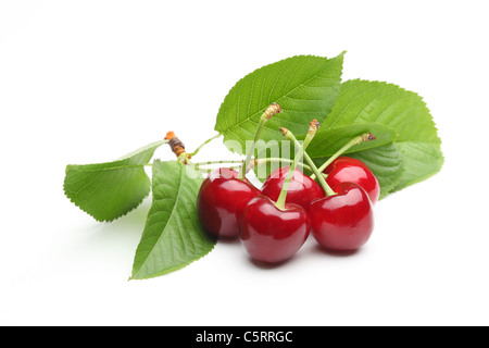 Saftige Kirschen isoliert auf weißem Hintergrund. Stockfoto