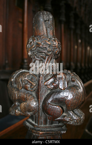 14. Jahrhundert Carven auf das Chorgestühl In St Botolph Church, Boston, Lincolnshire, Großbritannien Stockfoto