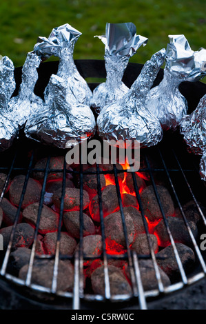 Deutschland, Nordrhein-Westfalen, Düsseldorf, Nahaufnahme von Zwiebeln in Alufolie auf den Grill Stockfoto