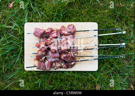 Deutschland, Nordrhein-Westfalen, Düsseldorf, Nahaufnahme von marinierten Schaschlik Spears auf Schneidebrett gegen Grass Stockfoto
