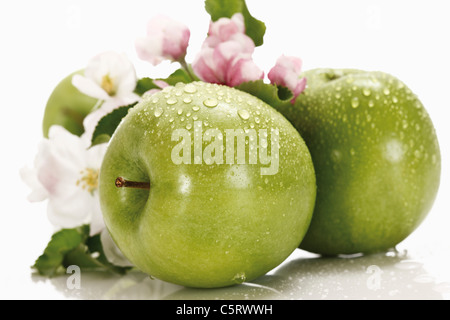 Grüne Äpfel mit Wassertropfen im Hintergrund Apfelblüte, Nahaufnahme Stockfoto