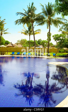 Palmen spiegeln sich im Pool im Wasser, Indonesien. Bali, Lovina Stockfoto