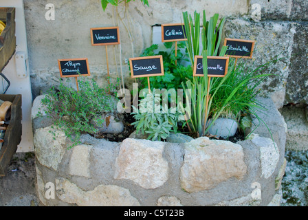 Ein kleines Blumenbeet mit sortierten beschriftet Kräuter wachsen vor einem Geschäft in Baux-de-Provence, Frankreich Stockfoto