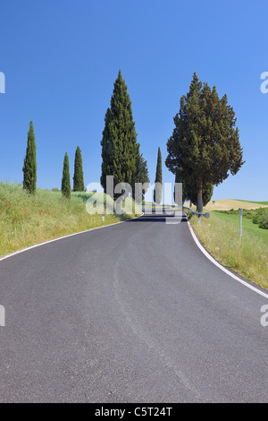 Italien, Toskana, Provinz Siena, Val d ' Orcia, Sicht auf Straße, gesäumt von Zypressen Stockfoto