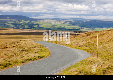 Ein Moor-Straße gehen über Bowland Knotts in den Trog von Bowland, Lancashire, UK, mit Blick auf den Yorkshire Dales Stockfoto